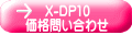 X-DP10 i₢킹