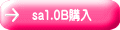 sa1.0B購入